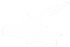 we